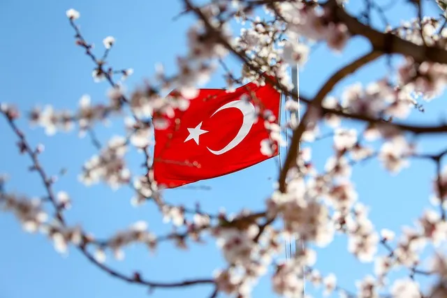 Turkse vlag tussen bloeiende takken in de lentezon